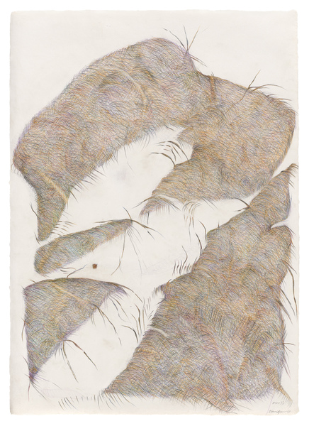 Deborah Davidson
